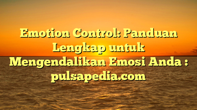 Emotion Control Panduan Lengkap Untuk Mengendalikan Emosi Anda