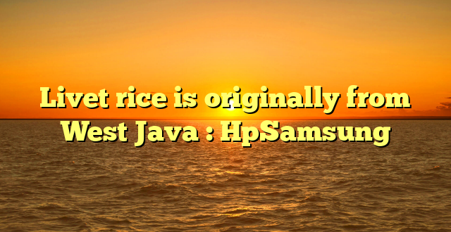 Livet rice is originally from West Java : HpSamsung